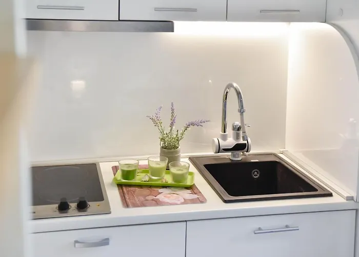 Apartament Mana 4